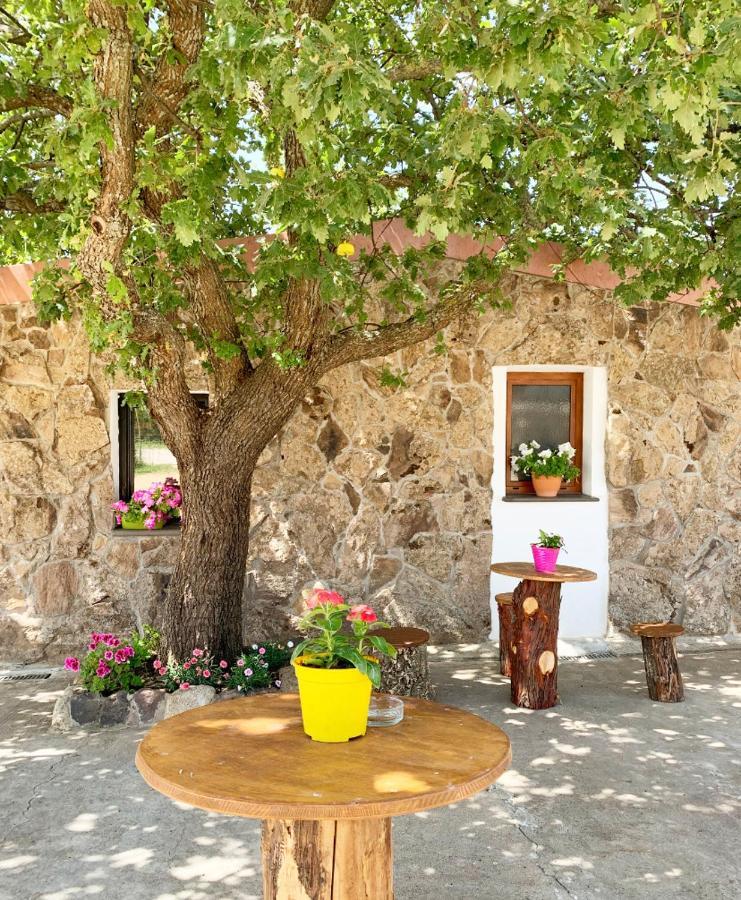 Agriturismo Bonu Suile Silanus Exterior photo